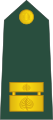 Major (Slovenian Ground Force)[79]