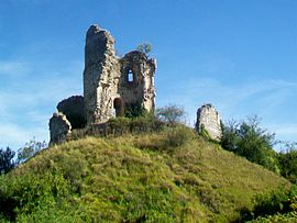 Ruins of the chateau
