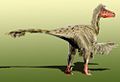 Dromaeosaurus