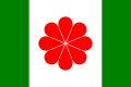 于1996年暂拟的台湾共和国国旗