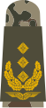 Aufschiebeschlaufe Feldanzug Luftwaffenuniformträger Generalleutnant