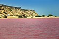 The Lipar Pink Wetland, Chabahar Free Zone, Iran