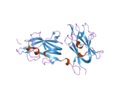 2orz: Structural Basis for Ligand Binding and Heparin Mediated Activation of Neuropilin