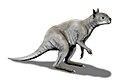 Simosthenurus, Australia