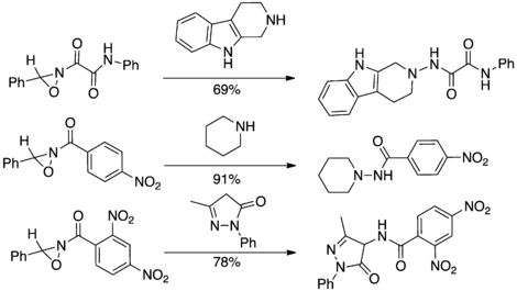 Select acyl transfer reactions of oxaziridine