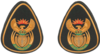 Warrant Officer Class One - Service Dress - Rank Insignia