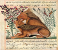 Figure 2. Seated lion behind reclining lioness, Manafi'-i hayavan, from the Bestiary of Ibn Bakhtishu, Maragha, 1298