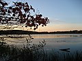 Image 16The Westborough Reservoir (Mill Pond) in Westborough, Massachusetts (from Nature)