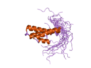 2dky: Solution structure of the SAM-domain of Rho-GTPase-activating protein 7