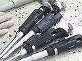 A set of micropipettes