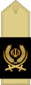 Islamic Republic of Iran Army Ground Forces insignia