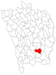 Location in Vaslui County