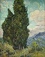 《丝柏树（英语：Cypresses (Metropolitan Museum of Art)）》（Cypresses），1889年，收藏于大都会博物馆