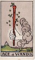 Ace of Wands