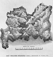 Black and white drawing of a gold nugget