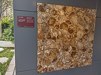 木化石壁画
