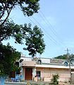 Temple in Alanahalli