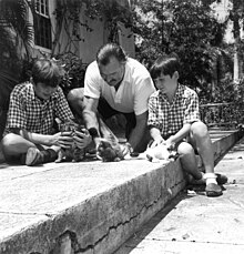 a dark-haired man wearing a light shirt with two dark-haired children wearing shorts, sitting on a stone patio playing with three kittens