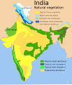 Natural vegetation in India