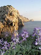 Vista dall'Isola Piana a Primavera