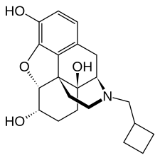 Skeletal formula