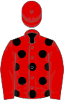 Red, black spots on body