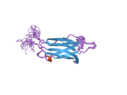 2dmh: Solution structure of the first C2 domain of human myoferlin