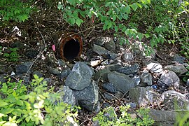 Rock Creek source at Dorsey Road