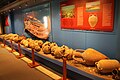 Amphoras (Tekirdağ Museum of Archaeology and Ethnography)