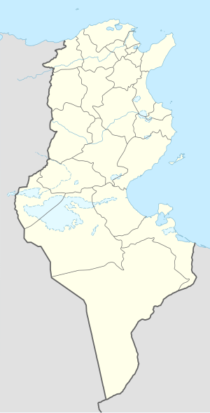 突尼斯在突尼斯的位置