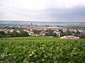 Vineyards near Épernay
