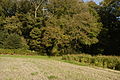 An exterior corner of Barn Copse, showing a game crop.