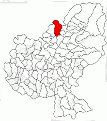 Location in Mureș County