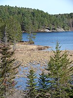 Typical Canadian Shield landscape: spruce, lakes, bogs, and rock