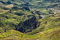 Image 4Agriculture terraces were (and are) common in the austere, high-elevation environment of the Andes. (from History of agriculture)