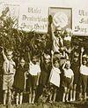 Brazilian Hitler Youth in the 1930s