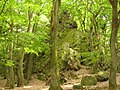 Grauer Stein, Taunus