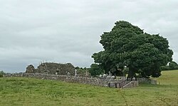 Cemetery and ruined church in Kilkeasy