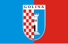 Flag of Gmina Golina