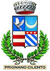 普里尼亚诺奇伦托徽章