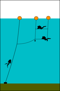 A shotline with a decompression trapeze – a series of crossbars suspended from a float at each end and ballasted as necessary, tethered to the main shotline.