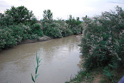 The Kalaus River in the town of Svetlograd, Petrovsky District