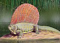 Edaphosaurus boanerges (Bogdanov)