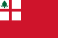 Red Ensign with St. George's cross in the canton