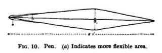 #111 (12/11/1935) Gladius (internal shell remnant), with more flexible area indicated (Frost, 1936:94, fig. 10)