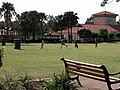 A family playing cricket on the Village Green