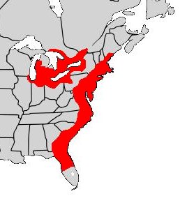 File:Spotted turtle distribution 1.TIF