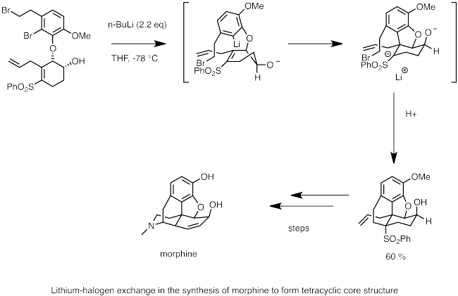 Synthesis of morphine using lithium–halogen exchange