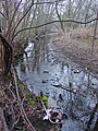 Teaneck Creek in in December of 2003 littered with debris