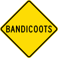 (MR-WDO-27) Bandicoots (used in Western Australia)